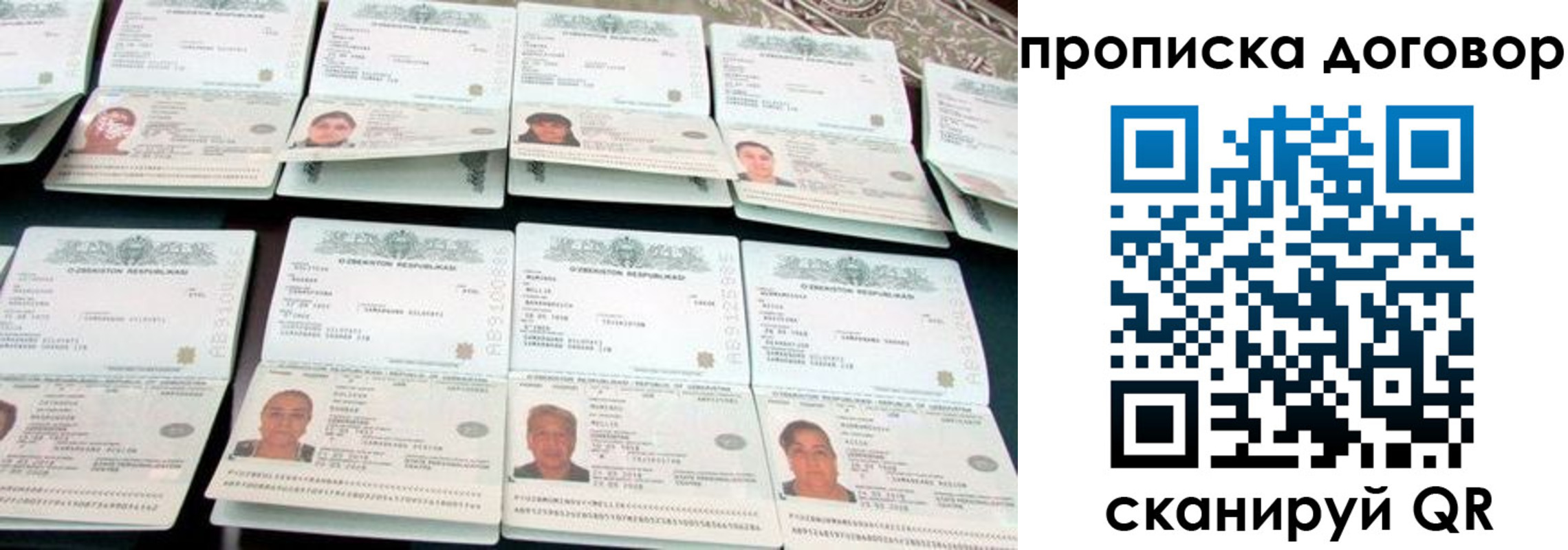 прописка для школы в Барыше
